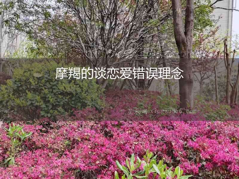 摩羯的談戀愛錯(cuò)誤理念