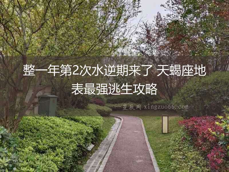 整一年第2次水逆期來(lái)了 天蝎座地表最強(qiáng)逃生攻略