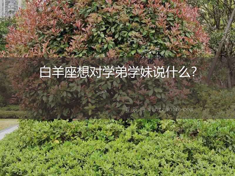 白羊座想對(duì)學(xué)弟學(xué)妹說(shuō)什么？