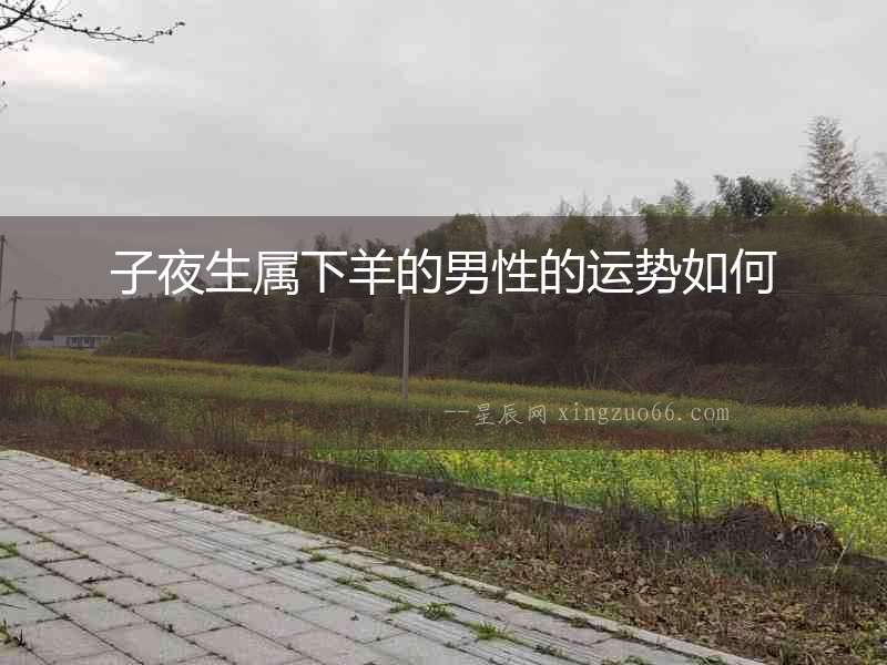 子夜生屬下羊的男性的運勢如何