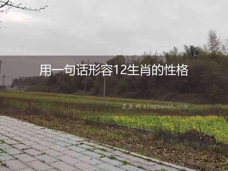 用一句話形容12生肖的性格