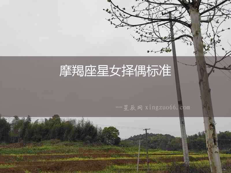 摩羯座星女擇偶標準