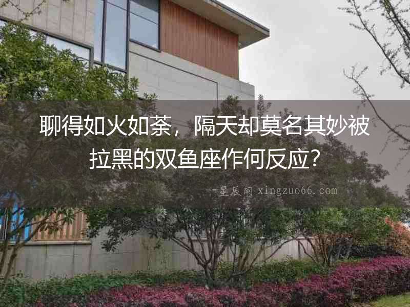 聊得如火如荼，隔天卻莫名其妙被拉黑的雙魚座作何反應？
