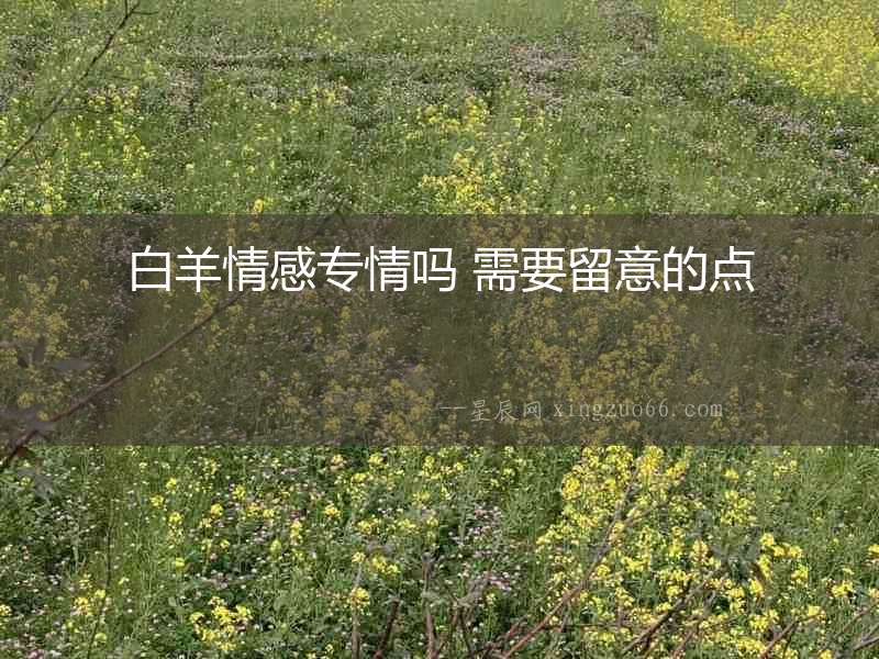 白羊情感專情嗎 需要留意的點(diǎn)