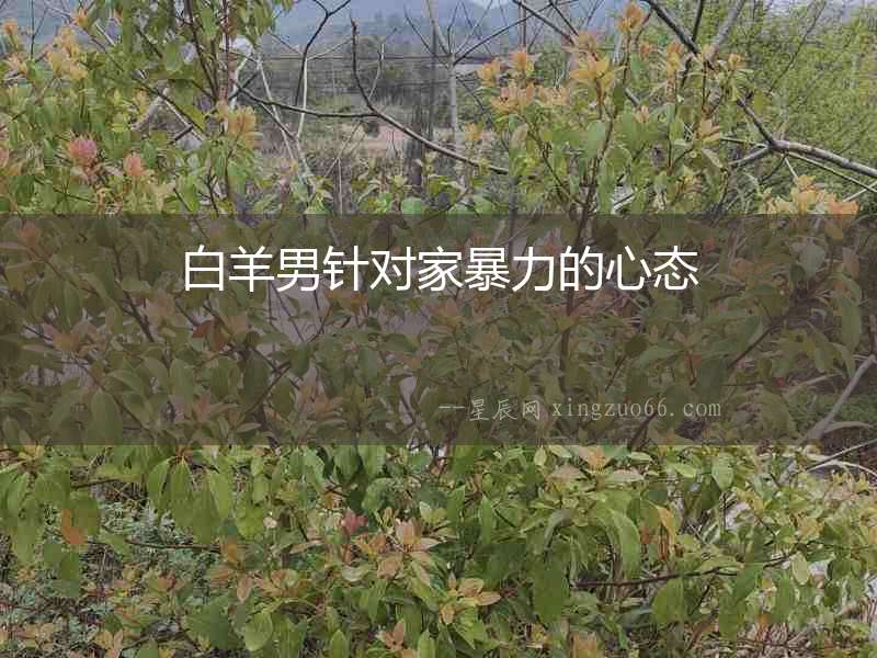 白羊男針對(duì)家暴力的心態(tài)