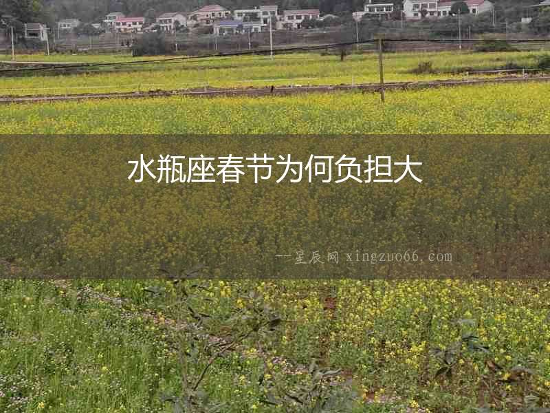 水瓶座春節(jié)為何負擔大