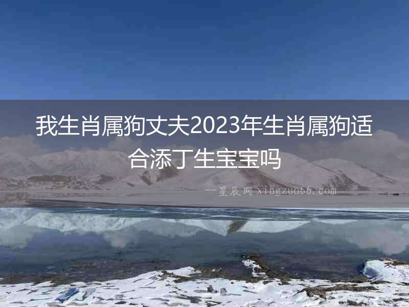 我生肖屬狗丈夫2023年生肖屬狗適合添丁生寶寶嗎