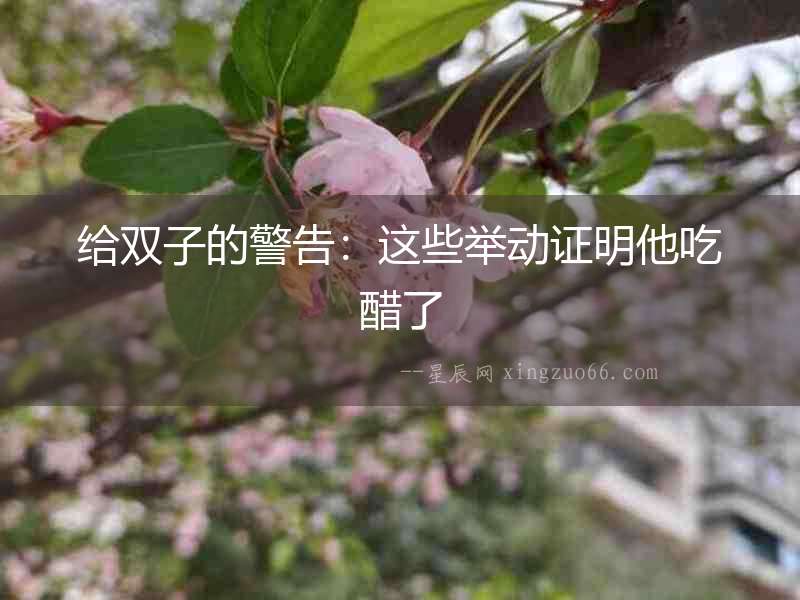 給雙子的警告：這些舉動證明他吃醋了