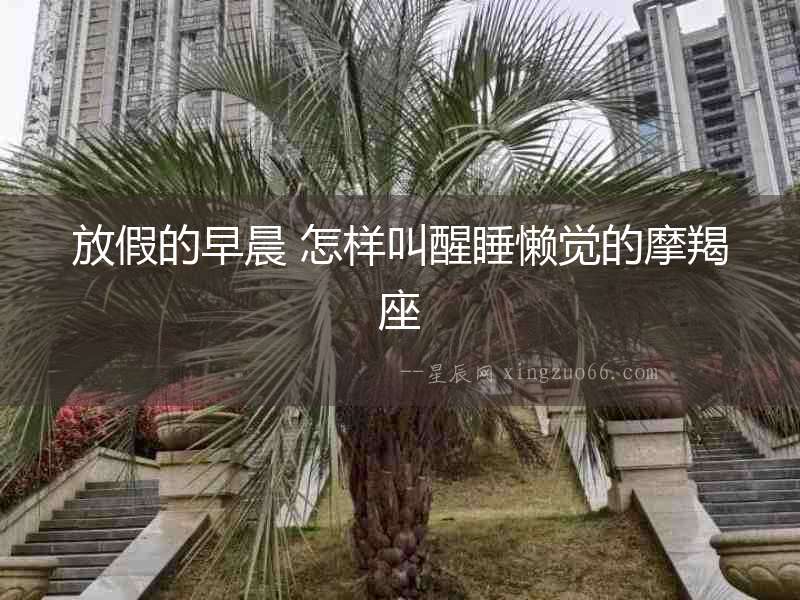 放假的早晨 怎樣叫醒睡懶覺的摩羯座