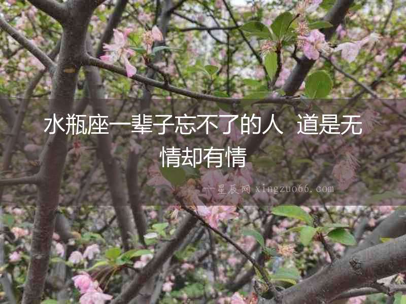 水瓶座一輩子忘不了的人  道是無情卻有情
