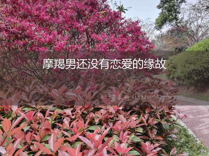 摩羯男還沒有戀愛的緣故