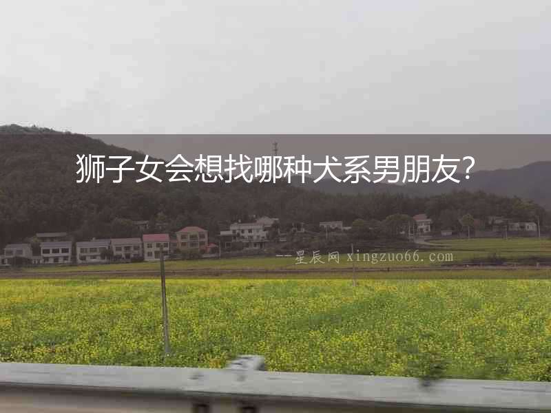 獅子女會想找哪種犬系男朋友？