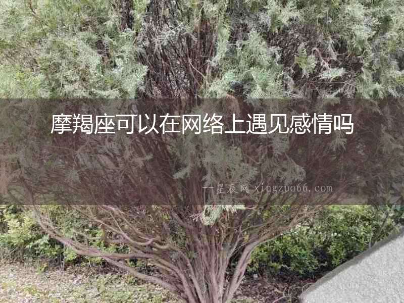 摩羯座可以在網(wǎng)絡(luò)上遇見(jiàn)感情嗎