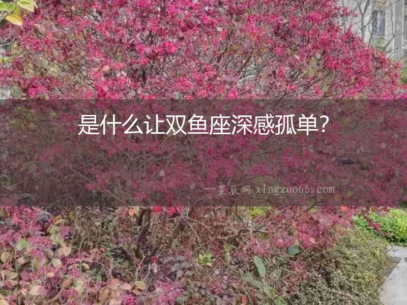 是什么讓雙魚座深感孤單？