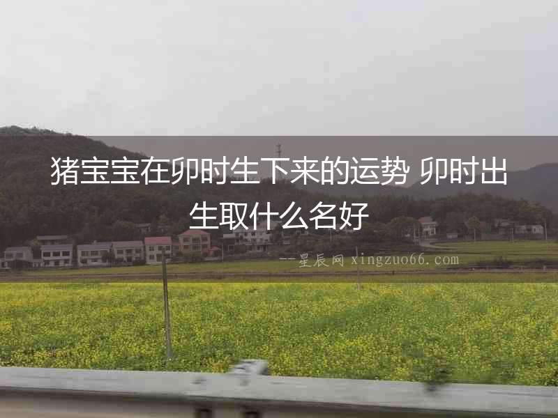 豬寶寶在卯時生下來的運勢 卯時出生取什么名好