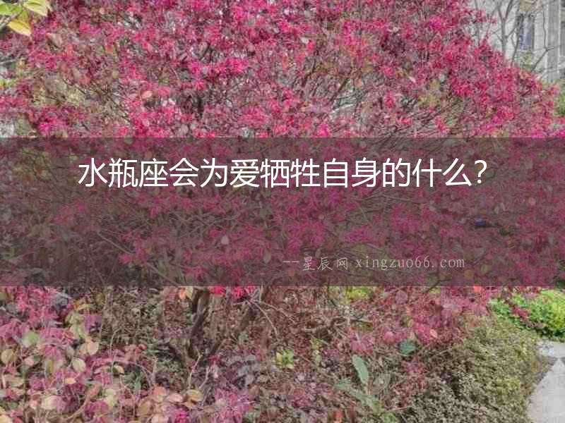 水瓶座會為愛犧牲自身的什么？