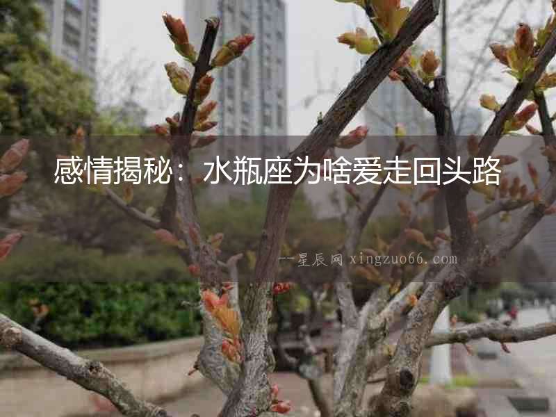 感情揭秘：水瓶座為啥愛走回頭路
