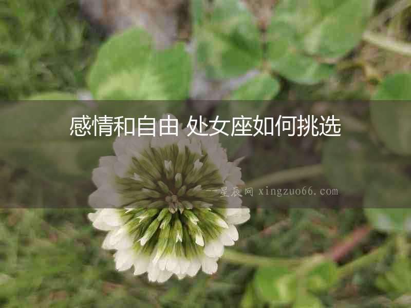 感情和自由 處女座如何挑選