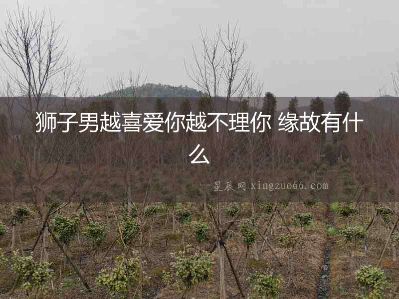 獅子男越喜愛你越不理你 緣故有什么