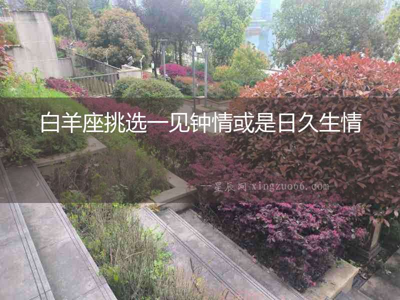 白羊座挑選一見鐘情或是日久生情