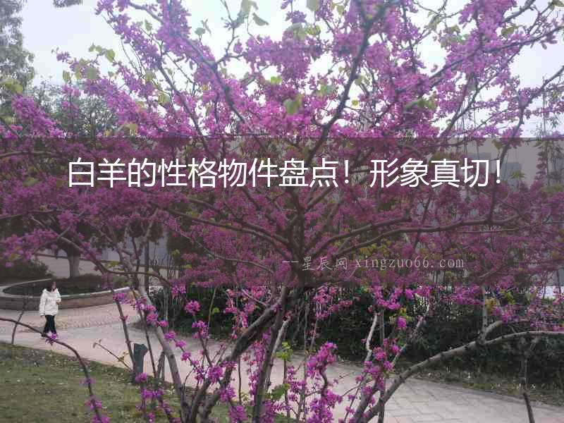 白羊的性格物件盤點！形象真切！