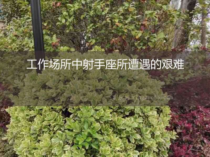 工作場(chǎng)所中射手座所遭遇的艱難