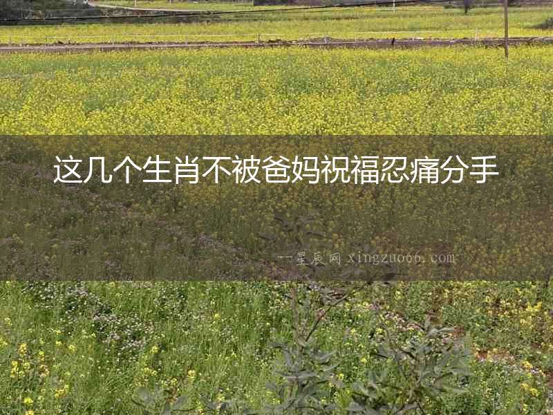 這幾個(gè)生肖不被爸媽祝福忍痛分手