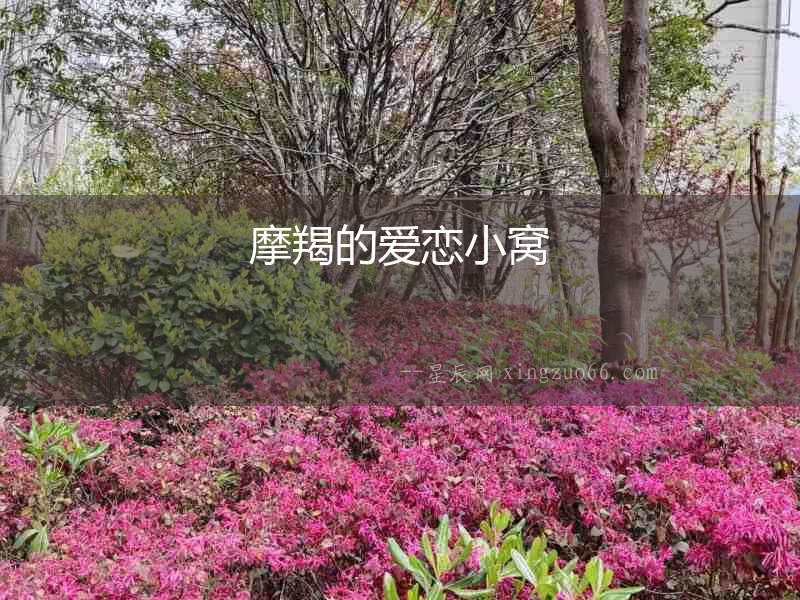 摩羯的愛戀小窩