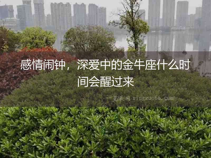 感情鬧鐘，深愛中的金牛座什么時(shí)間會(huì)醒過來