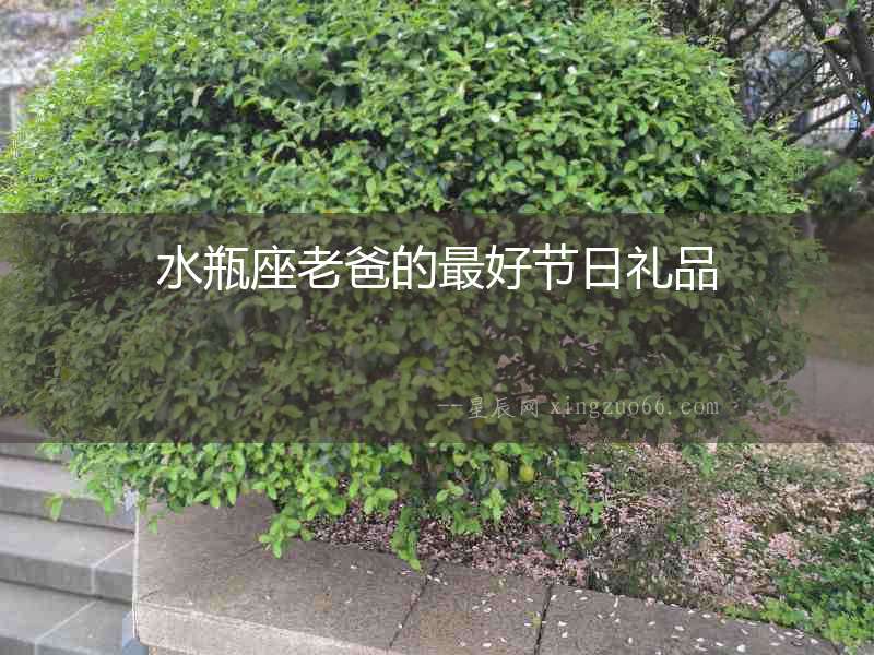 水瓶座老爸的最好節(jié)日禮品