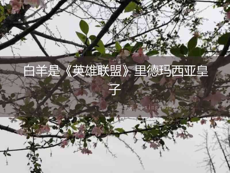白羊是《英雄聯(lián)盟》里德瑪西亞皇子