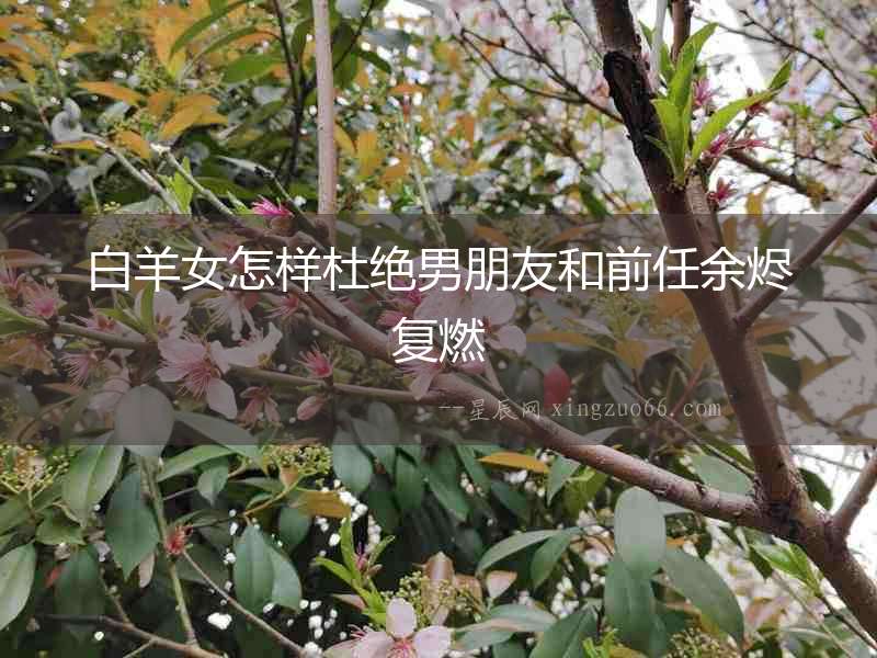 白羊女怎樣杜絕男朋友和前任余燼復燃