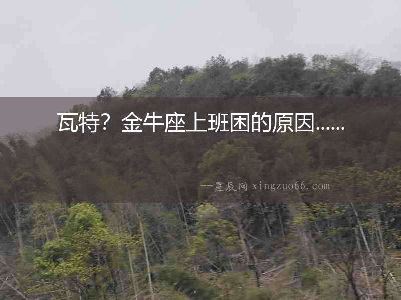 瓦特？金牛座上班困的原因......