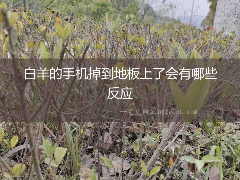 白羊的手機(jī)掉到地板上了會有哪些反應(yīng)