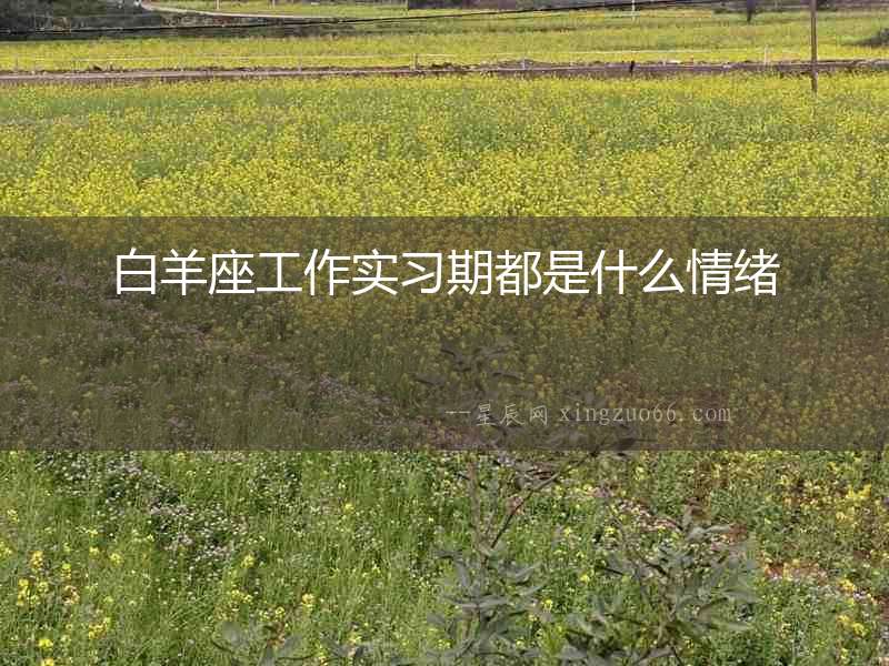 白羊座工作實(shí)習(xí)期都是什么情緒
