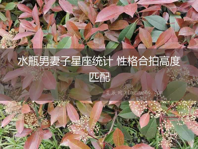 水瓶男妻子星座統(tǒng)計 性格合拍高度匹配