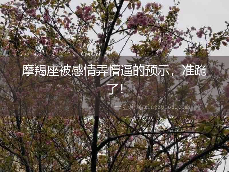 摩羯座被感情弄懵逼的預示，準跪了！