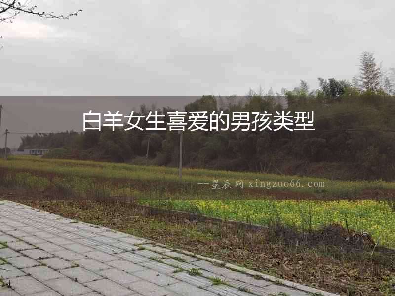 白羊女生喜愛的男孩類型