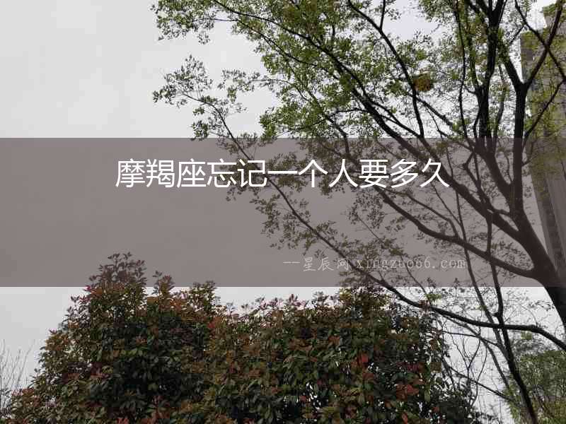 摩羯座忘記一個(gè)人要多久
