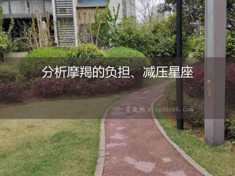 分析摩羯的負擔、減壓星座