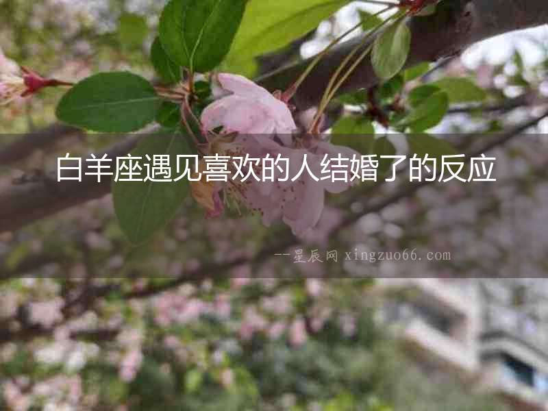 白羊座遇見喜歡的人結婚了的反應