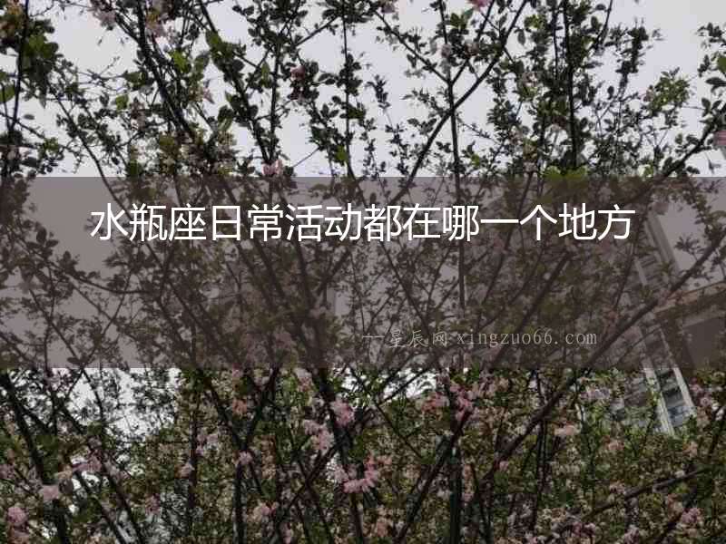 水瓶座日?；顒?dòng)都在哪一個(gè)地方