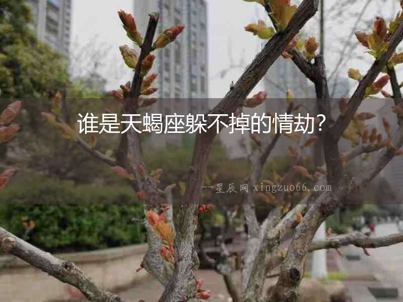 誰是天蝎座躲不掉的情劫？