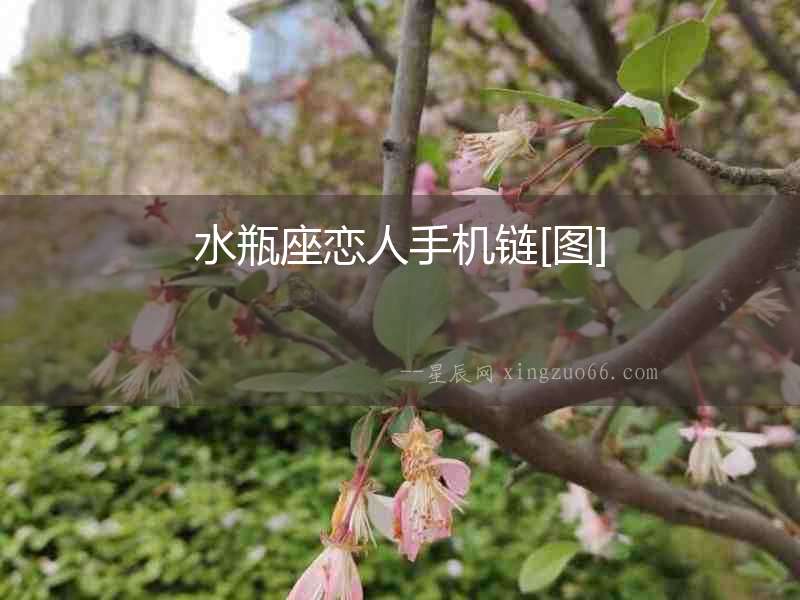 水瓶座戀人手機(jī)鏈[圖]