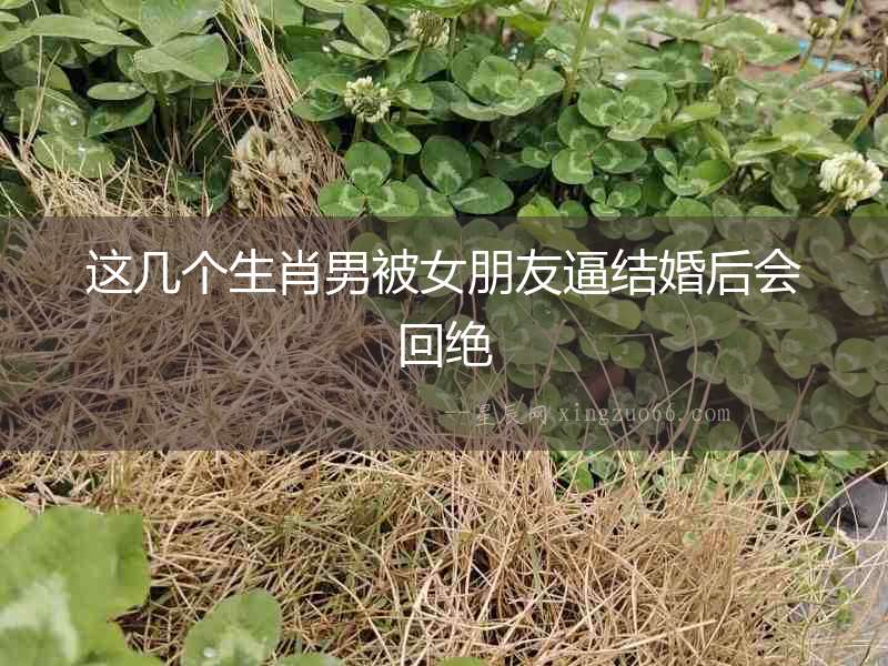 這幾個(gè)生肖男被女朋友逼結(jié)婚后會(huì)回絕