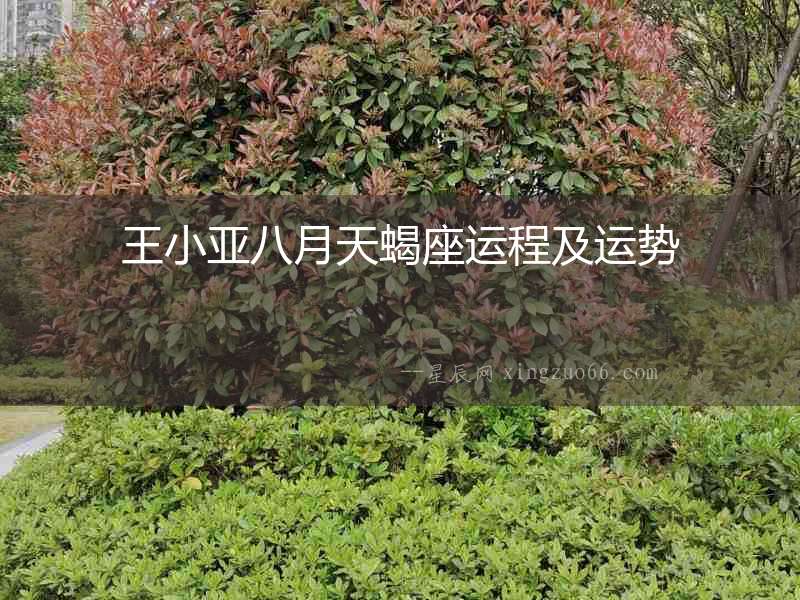 王小亞八月天蝎座運(yùn)程及運(yùn)勢(shì)