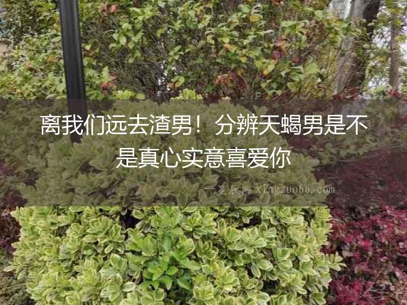 離我們遠(yuǎn)去渣男！分辨天蝎男是不是真心實(shí)意喜愛(ài)你