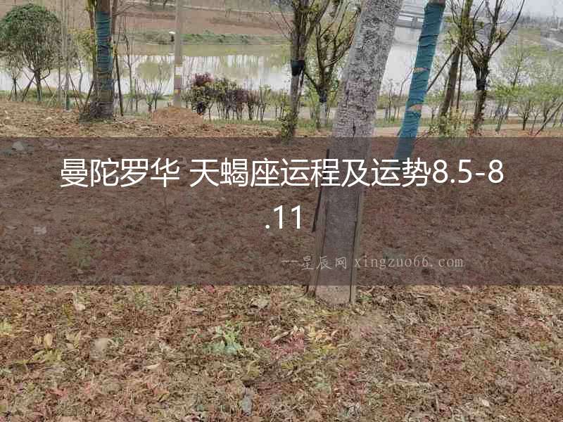 曼陀羅華 天蝎座運(yùn)程及運(yùn)勢(shì)8.5-8.11