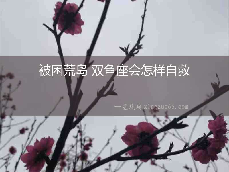 被困荒島 雙魚座會(huì)怎樣自救
