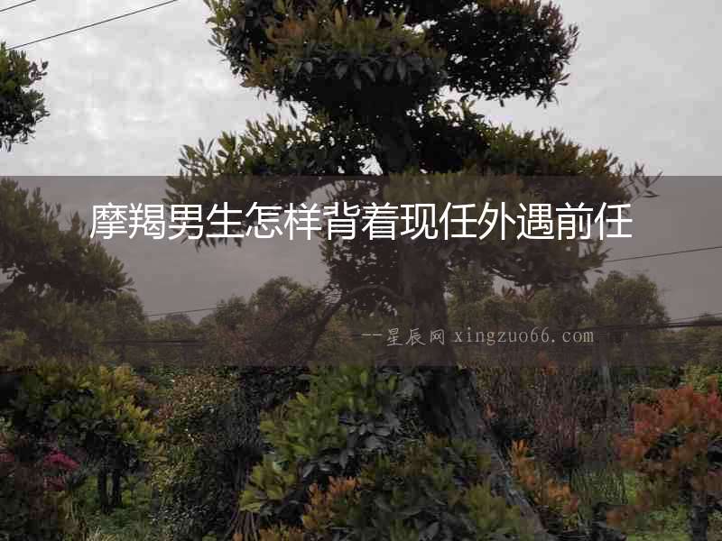 摩羯男生怎樣背著現(xiàn)任外遇前任